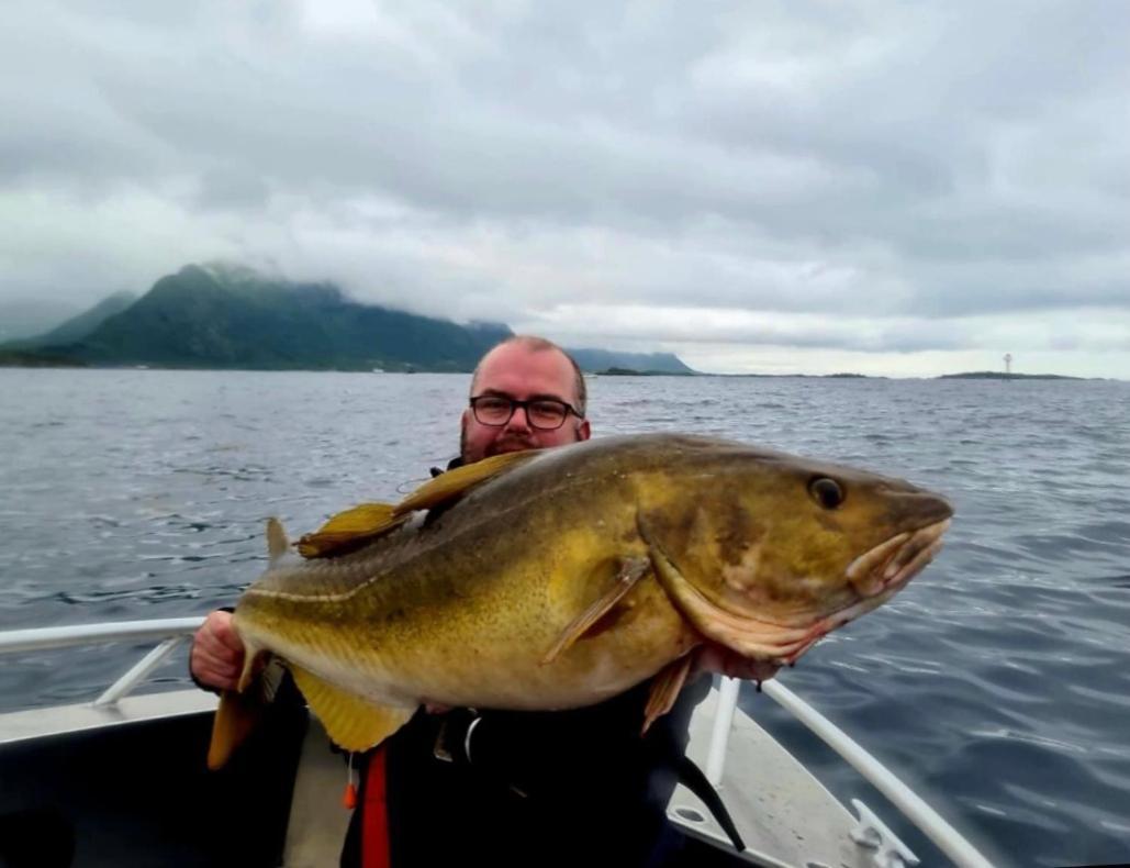 Lofoten And Vesteralen Kveldro Myrland Exterior foto