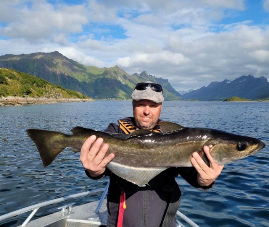 Lofoten And Vesteralen Kveldro Myrland Exterior foto