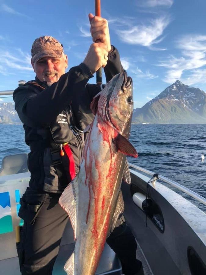 Lofoten And Vesteralen Kveldro Myrland Exterior foto