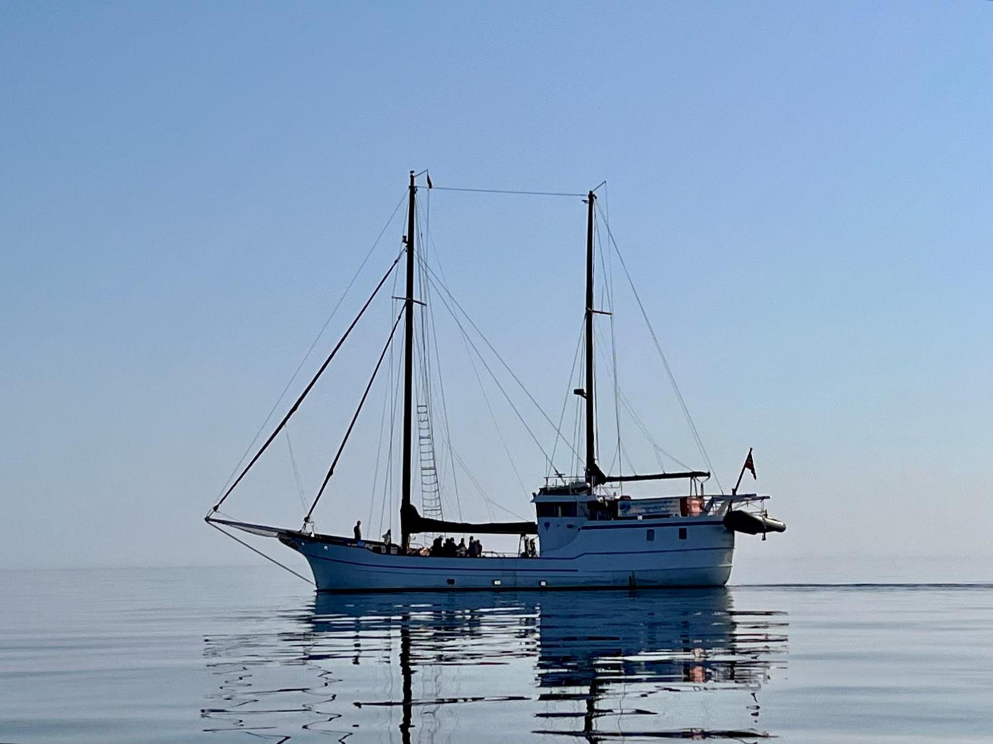Lofoten And Vesteralen Kveldro Myrland Exterior foto