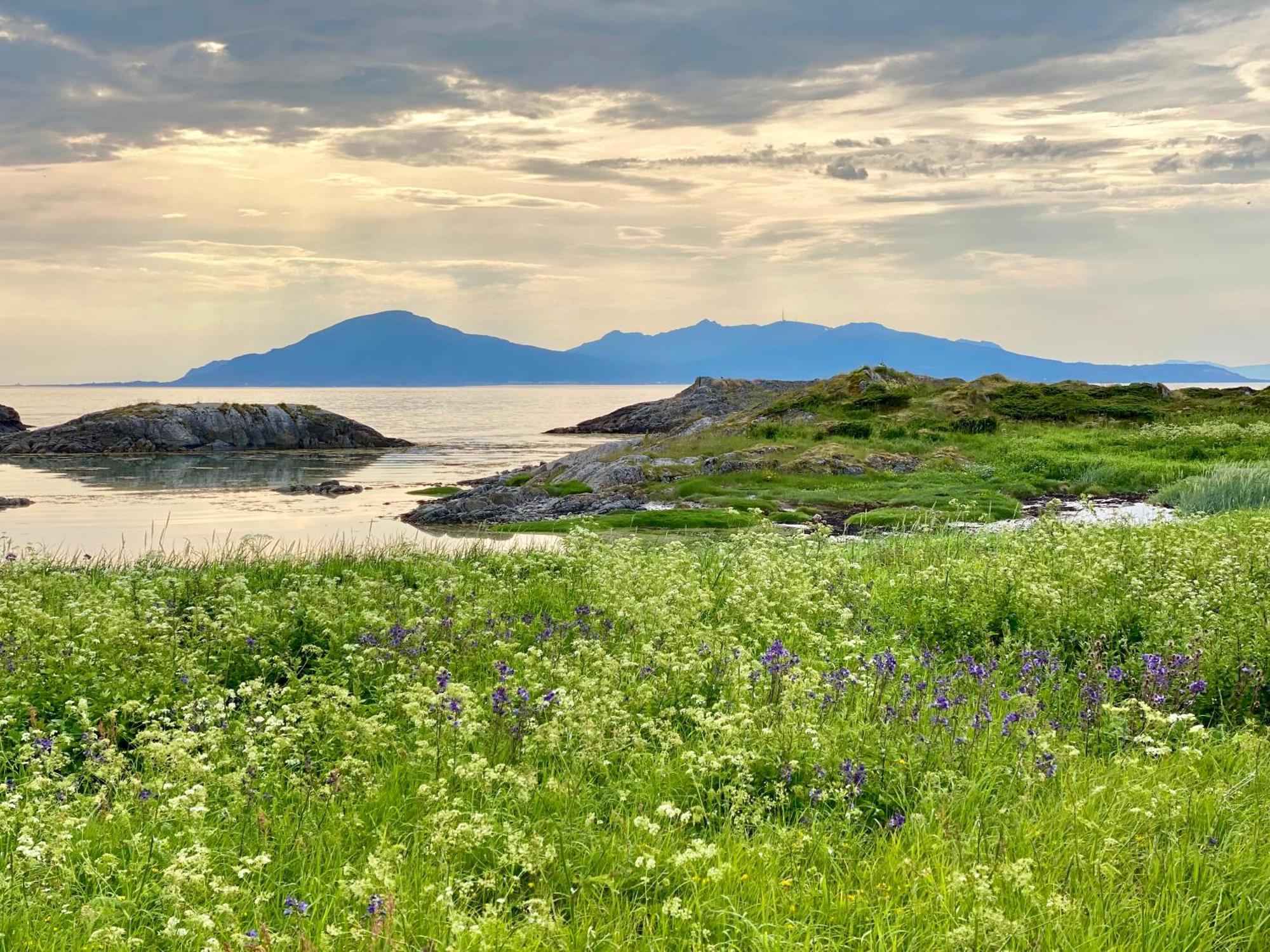 Lofoten And Vesteralen Kveldro Myrland Exterior foto